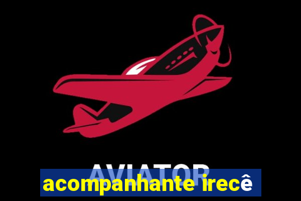 acompanhante irecê