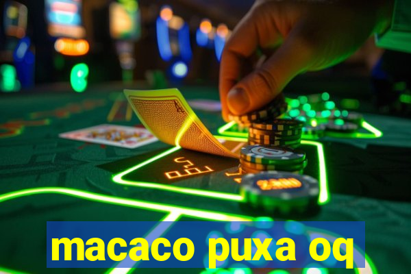 macaco puxa oq