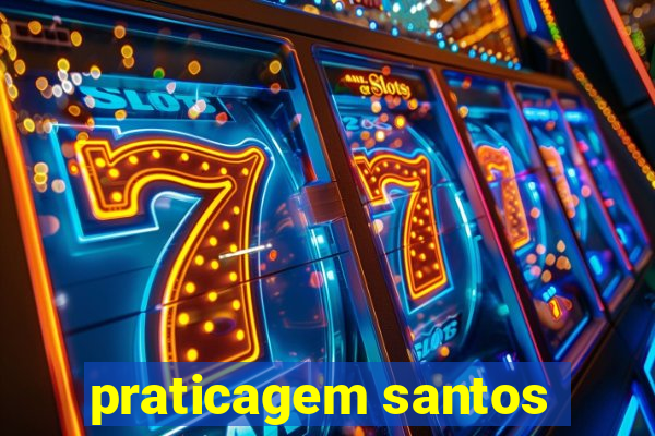 praticagem santos