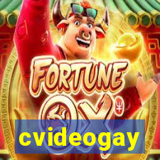 cvideogay