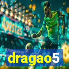 dragao5