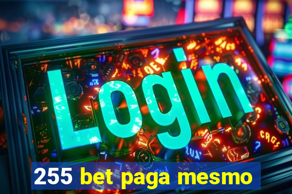 255 bet paga mesmo