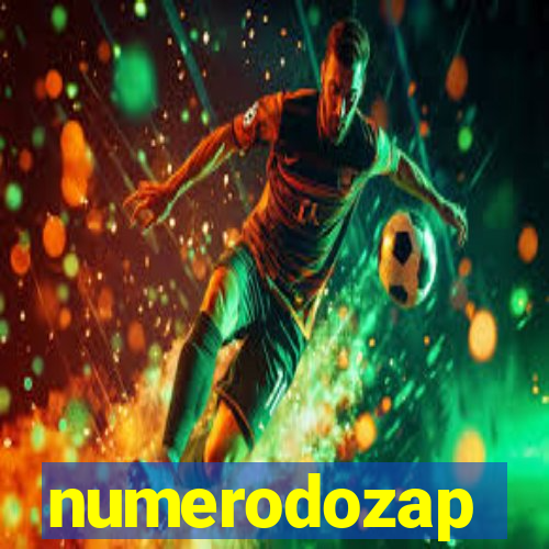 numerodozap