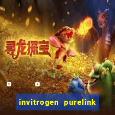 invitrogen purelink genomic dna mini kit